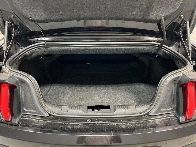 Photo of 2023 Black Ford Mustang