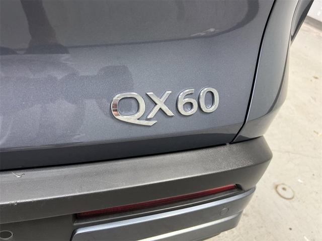 Photo of 2023 Gray INFINITI QX60