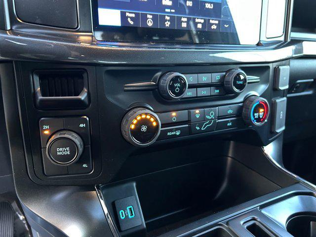 Photo of 2024 Gray Metallic Ford F-150