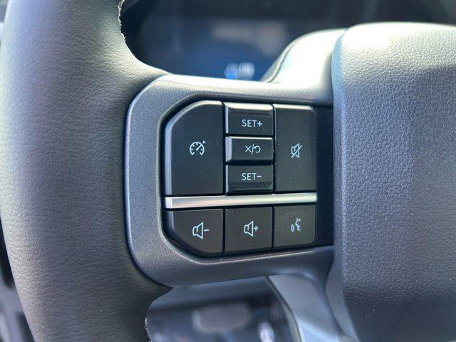 Photo of 2025 Gray Ford F-250