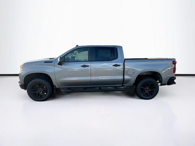 Photo of 2025 Sterling Gray Metallic Chevrolet Silverado 1500