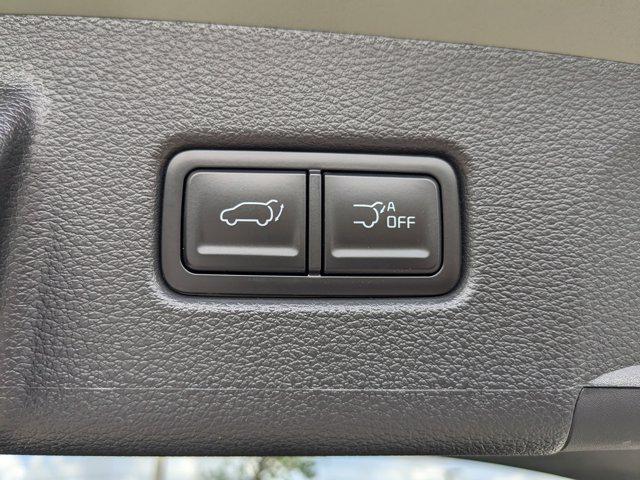 Photo of 2025 Green Kia Telluride