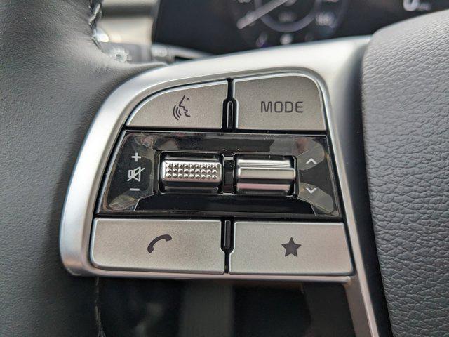 Photo of 2025 Ebony Black Kia Telluride