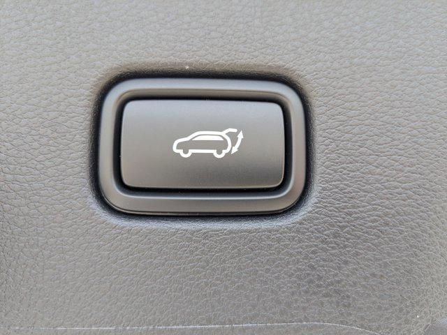 Photo of 2026 White Pearl Kia Sportage