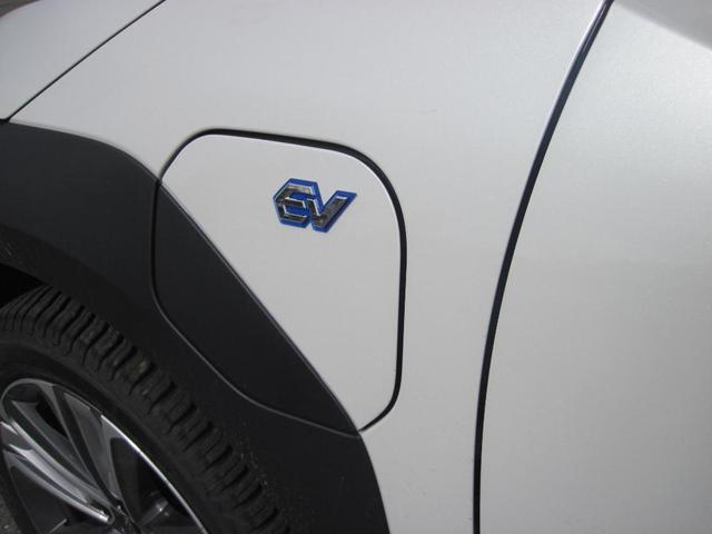 Photo of 2023 Cosmic White Pearl Subaru Solterra