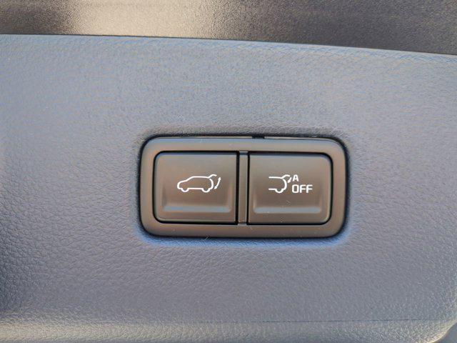 Photo of 2025 Panthera Metal Kia Carnival