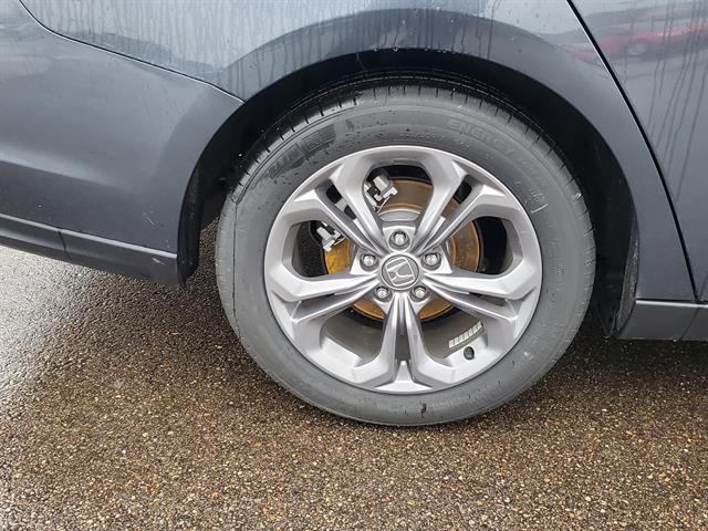 Photo of 2024 Gray Honda Accord