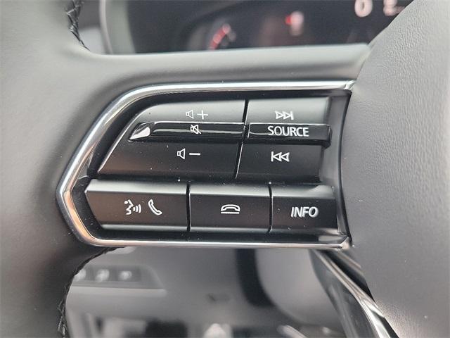 Photo of 2025 Jet Black Mazda CX-90