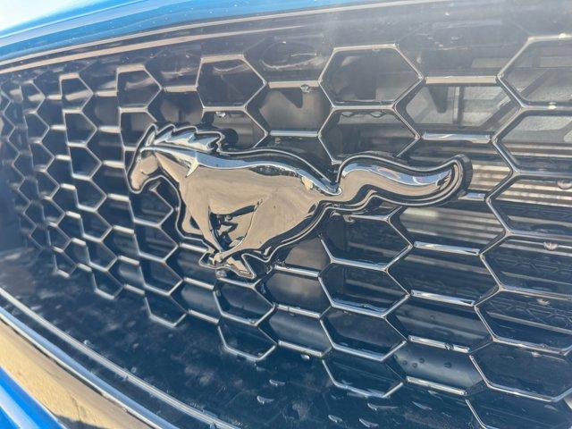 Photo of 2025 Blue Ford Mustang