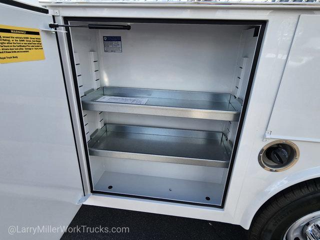 Photo of 2026 White Ford F-250