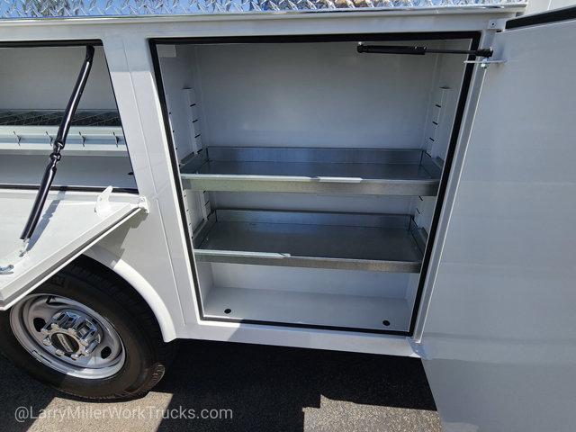Photo of 2026 White Ford F-250