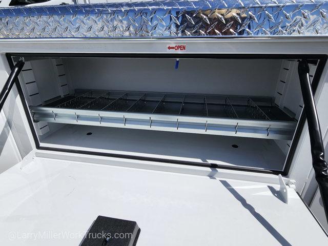 Photo of 2026 White Ford F-250