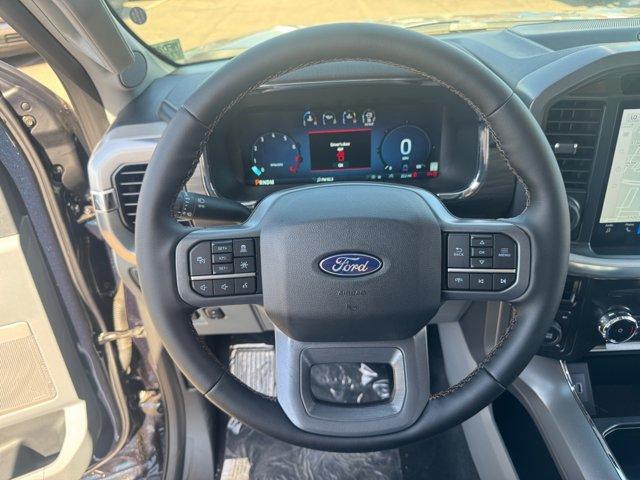Photo of 2025 Blue Ford F-150