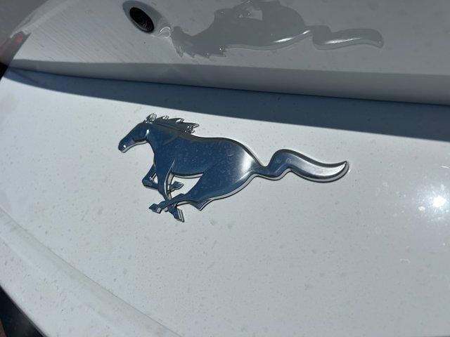 Photo of 2025 White Ford Mustang