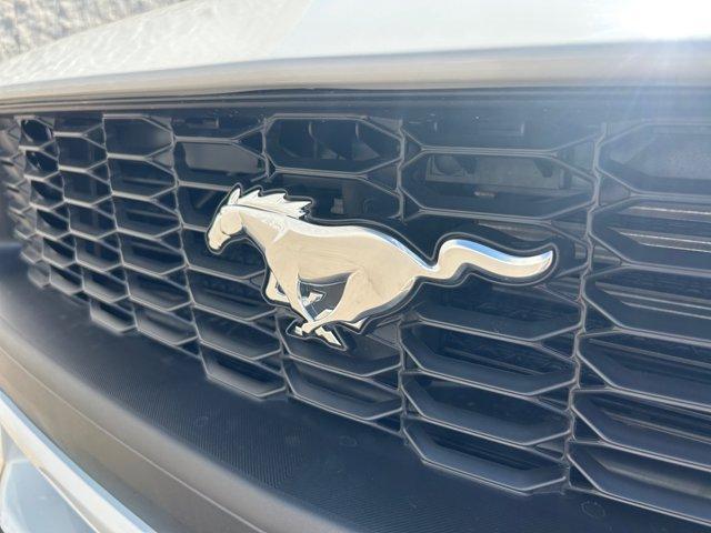 Photo of 2025 White Ford Mustang