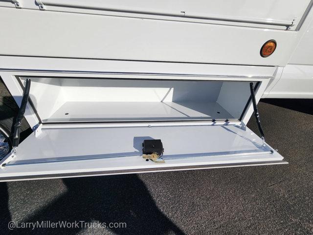 Photo of 2026 White Ford F-450