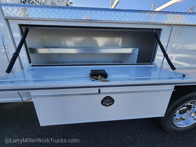 Photo of 2026 White Ford F-450