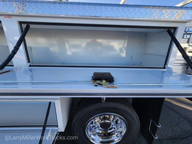 Photo of 2026 White Ford F-450