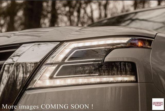 Photo of 2023 Baja Storm Nissan Pathfinder