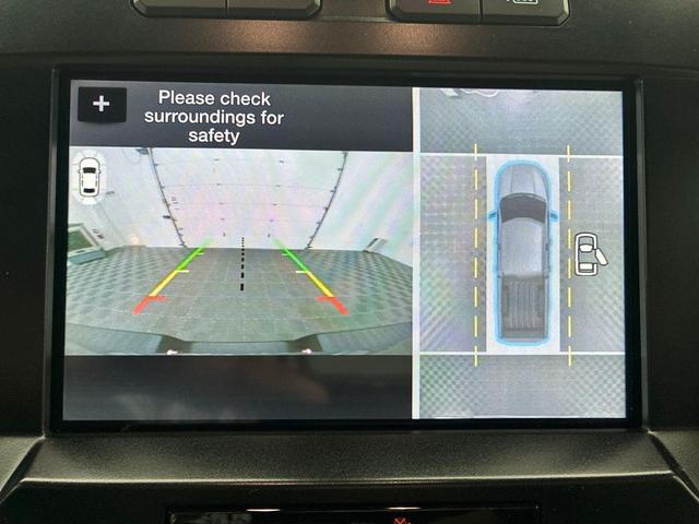 Photo of 2016 Magnetic Ford F-150