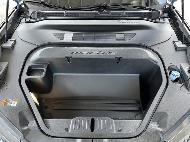 Photo of 2025 Glacier Gray Metallic TriCoat Ford Mustang Mach-E