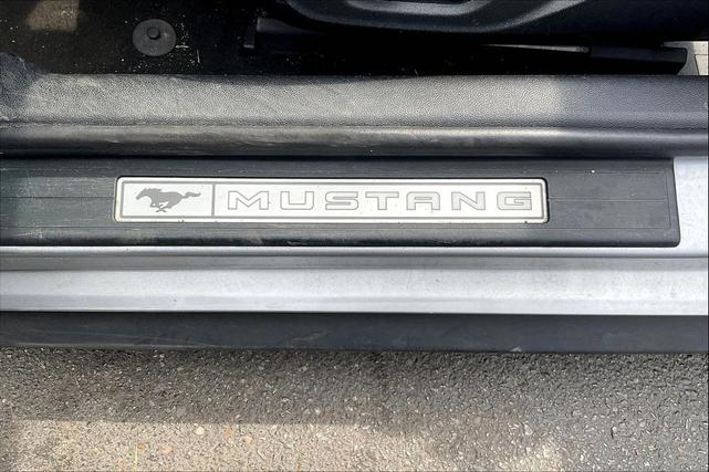 Photo of 2023  Ford Mustang