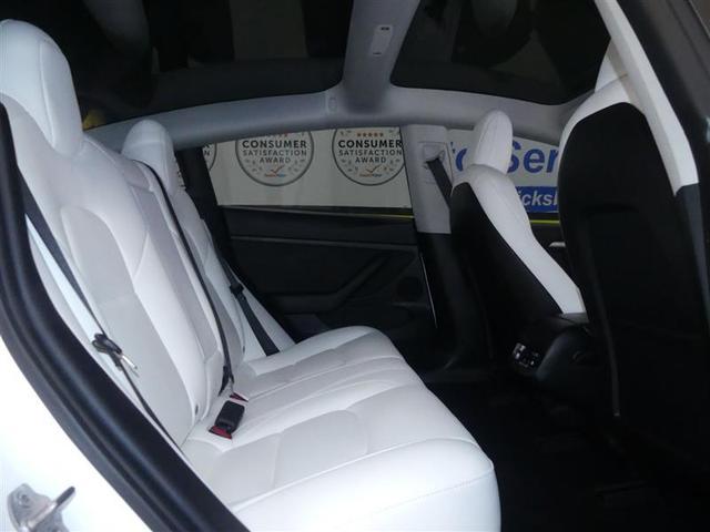 Photo of 2021 Pearl White Multi-Coat Tesla Model 3