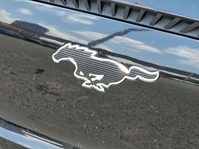 Photo of 2022 Shadow Black Ford Mustang Mach-E