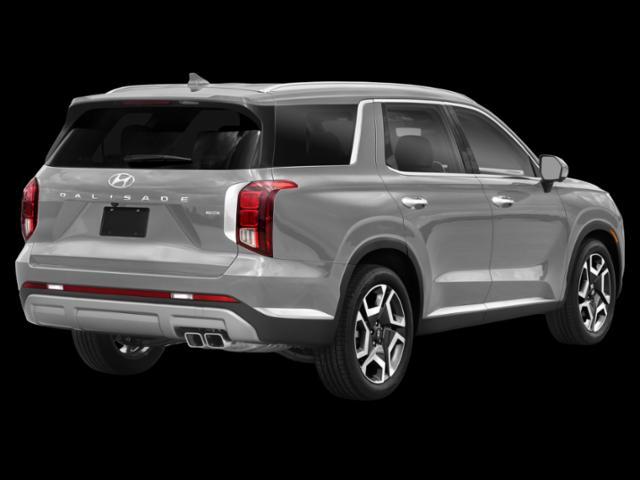 Photo of 2025 Typhoon Silver Hyundai PALISADE