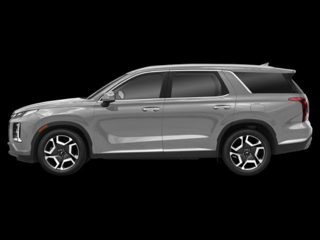 Photo of 2025 Typhoon Silver Hyundai PALISADE