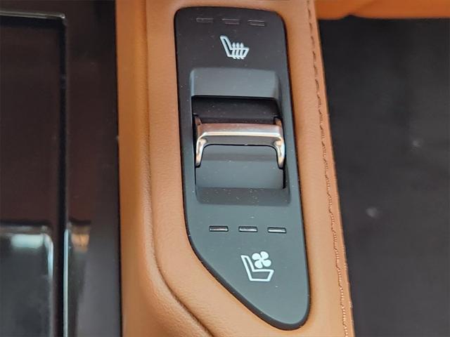 Photo of 2025 Jungle Green Kia Telluride