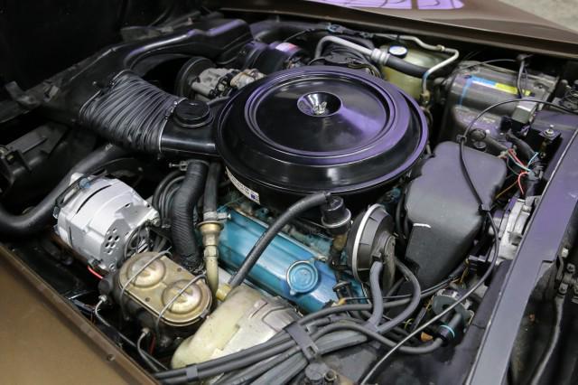 Photo of 1980 Dark Brown Metallic Chevrolet Corvette
