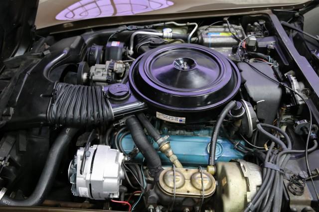 Photo of 1980 Dark Brown Metallic Chevrolet Corvette