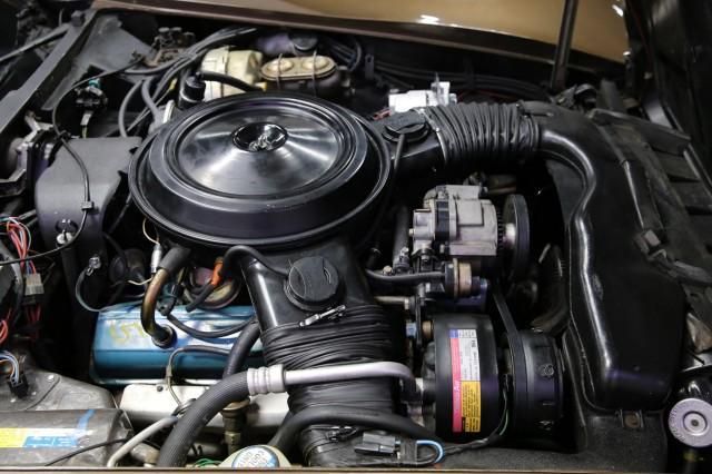 Photo of 1980 Dark Brown Metallic Chevrolet Corvette