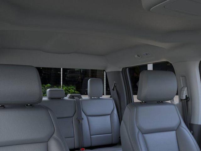 Photo of 2025 Carbonized Gray Metallic Ford F-150 Lightning