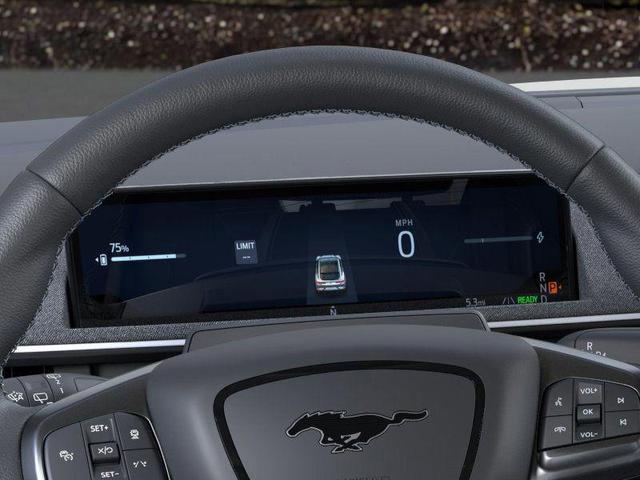 Photo of 2025 Shadow Black Ford Mustang Mach-E