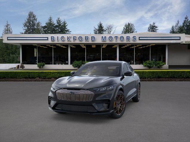 Photo of 2025 Shadow Black Ford Mustang Mach-E