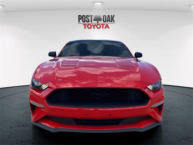 Photo of 2019 Race Red Ford Mustang