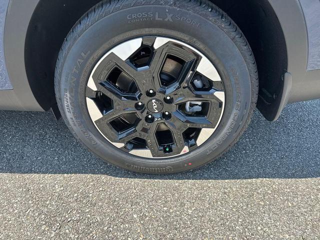 Photo of 2025 Midnight Black Kia Sorento
