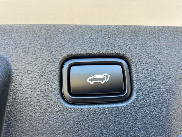 Photo of 2025 Wolf Gray Kia Sportage