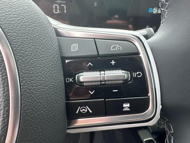 Photo of 2025 Red Kia Sorento