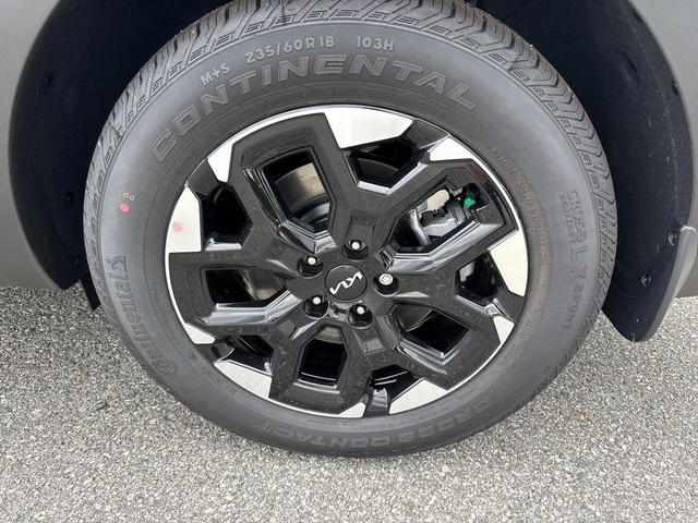 Photo of 2025 Wolf Gray Kia Sorento
