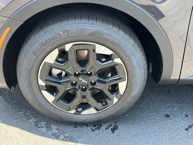 Photo of 2025 Metal Kia Sorento