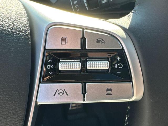 Photo of 2025 Metal Kia Telluride