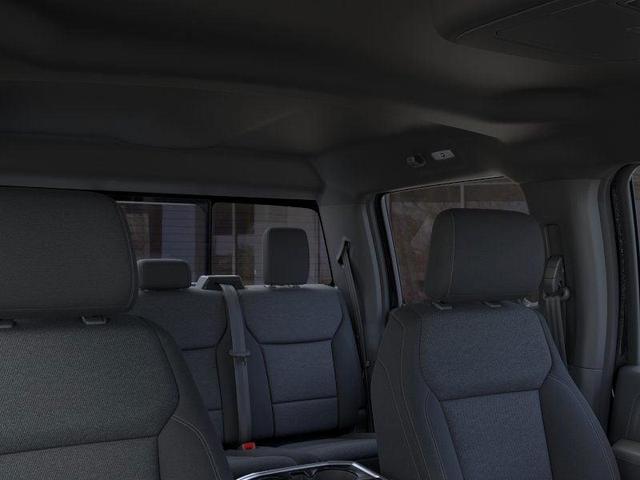 Photo of 2025 Black Ford F-150
