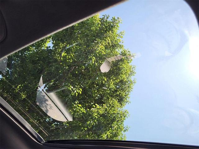 Photo of 2026 Blue Genesis G70
