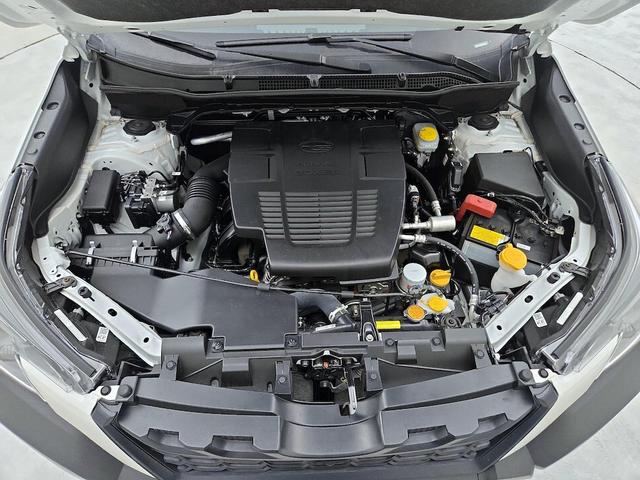 Photo of 2023 White Subaru Forester
