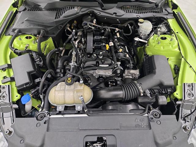 Photo of 2020 Green Ford Mustang