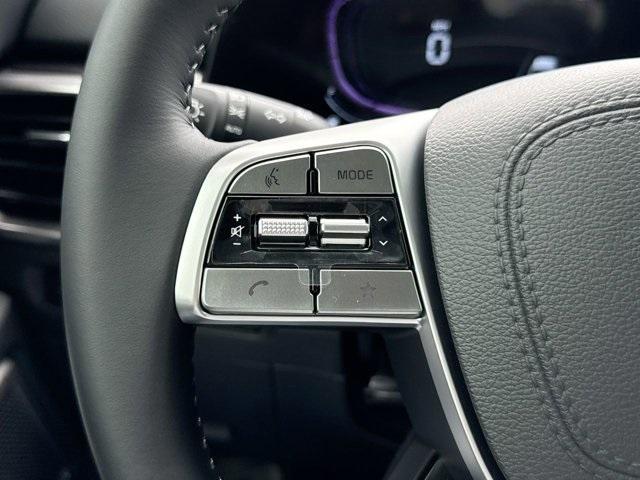 Photo of 2025 Ebony Black Kia Telluride