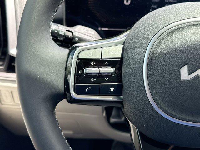 Photo of 2025 Metal Kia Sorento